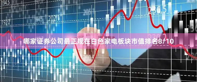 哪家证券公司最正规在白色家电板块市值排名8/10