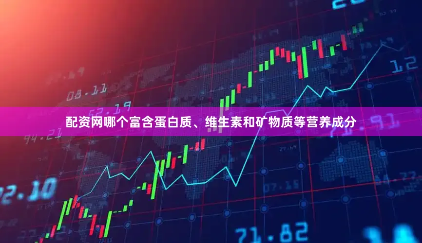 配资网哪个富含蛋白质、维生素和矿物质等营养成分