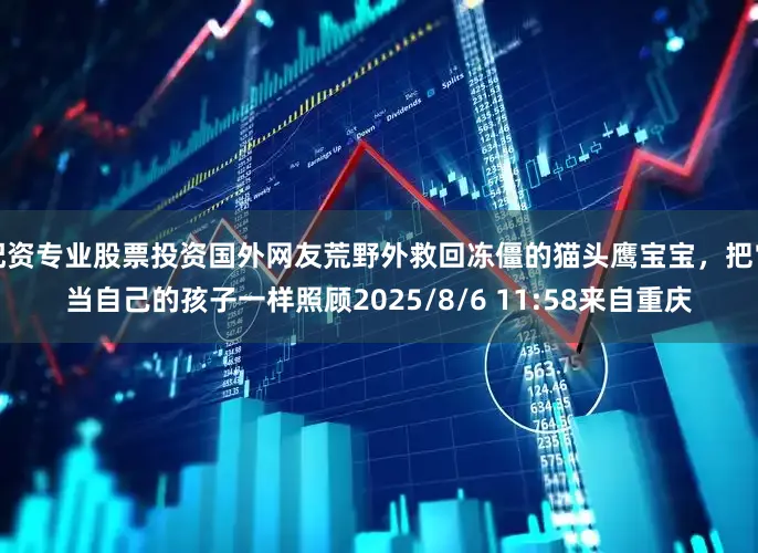 配资专业股票投资国外网友荒野外救回冻僵的猫头鹰宝宝，把它当自己的孩子一样照顾2025/8/6 11:58来自重庆