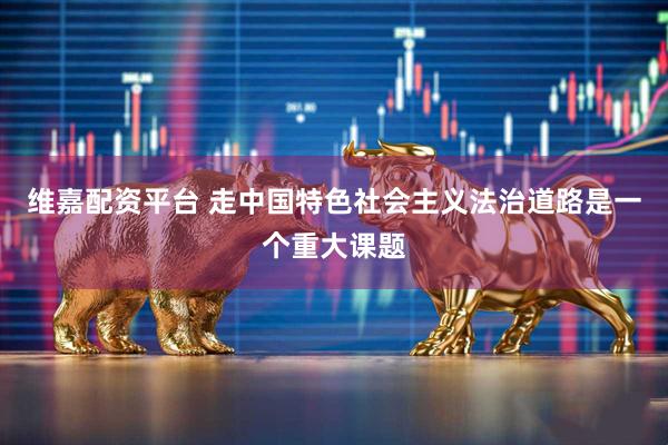 维嘉配资平台 走中国特色社会主义法治道路是一个重大课题