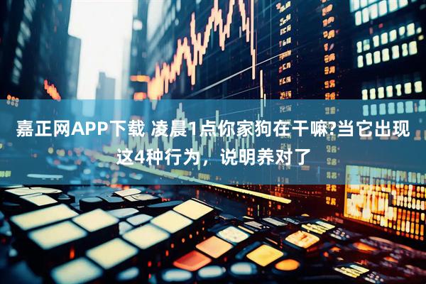嘉正网APP下载 凌晨1点你家狗在干嘛?当它出现这4种行为，说明养对了
